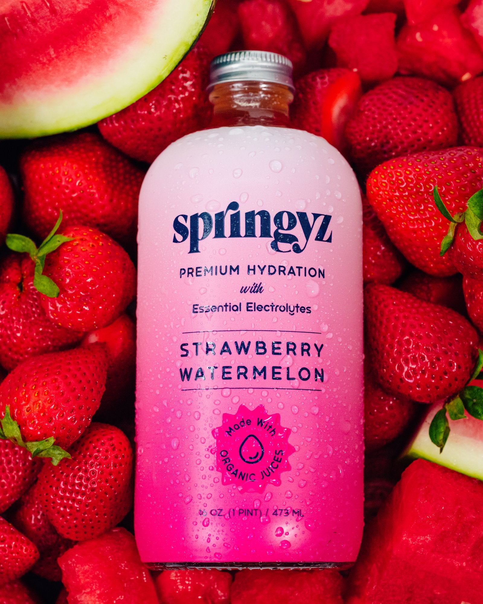 Strawberry Watermelon 6-Pack