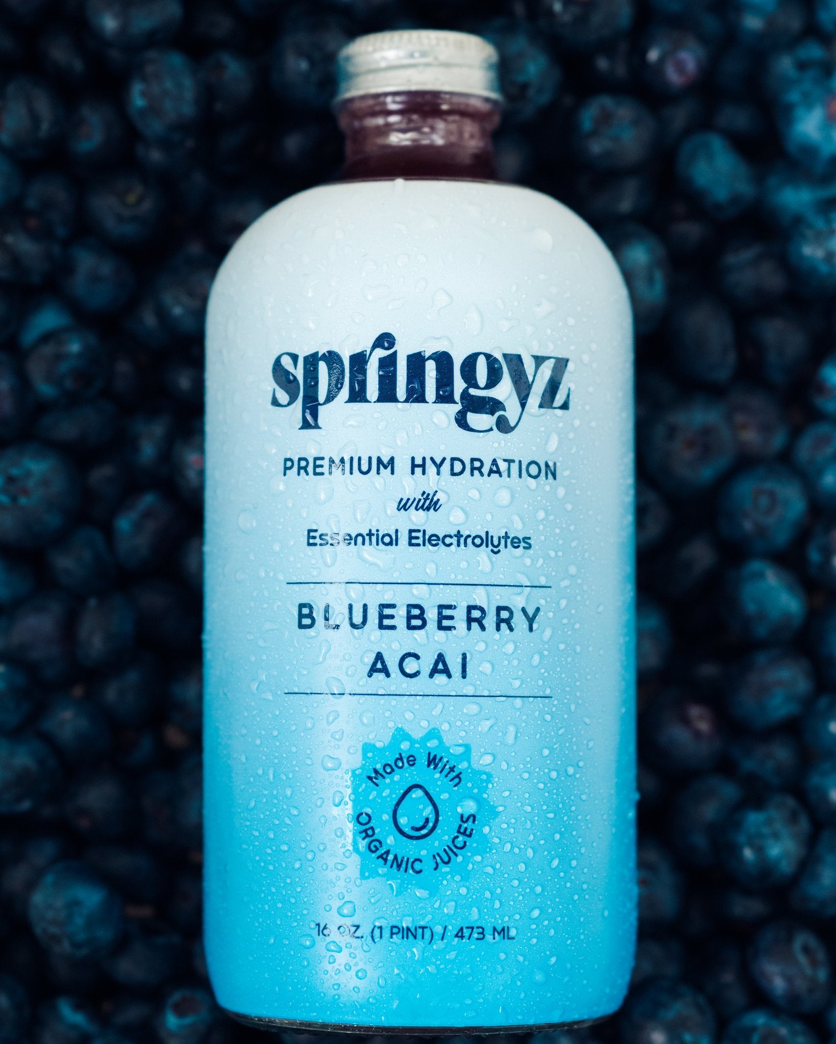 Blueberry Acai 6-Pack