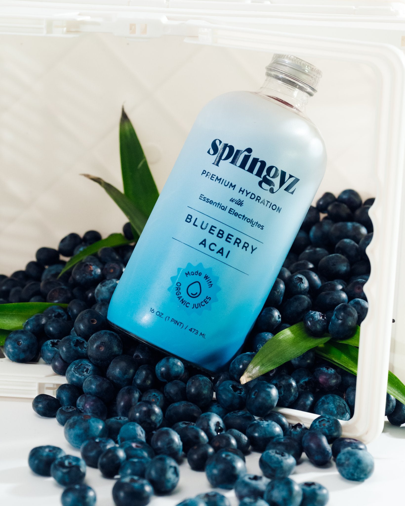 Blueberry Acai 6-Pack
